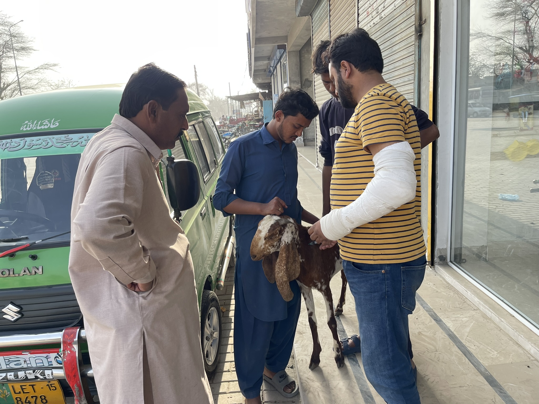 Goat treatment by Dr. Muhammad Awais Sidhu