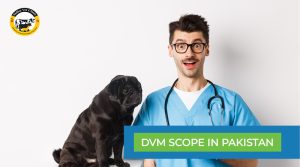 DVM Scope in Pakistan-sidhuvetclinic